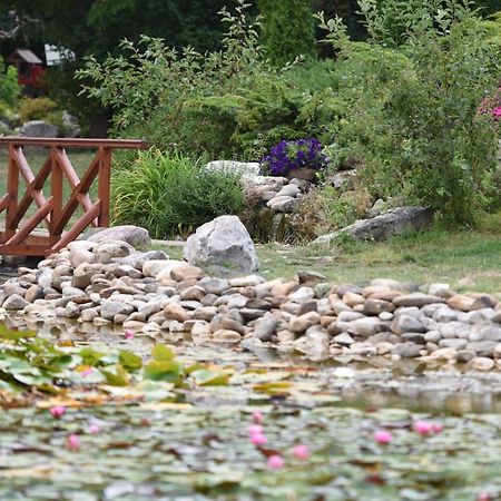 Conacul Secuiesc-Szekelyko Kuria Coltesti Bagian luar foto